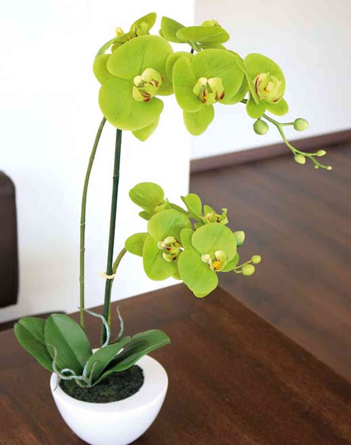 Orchidea artificiale 52 cm bianca in vaso dorato - Greenmoods