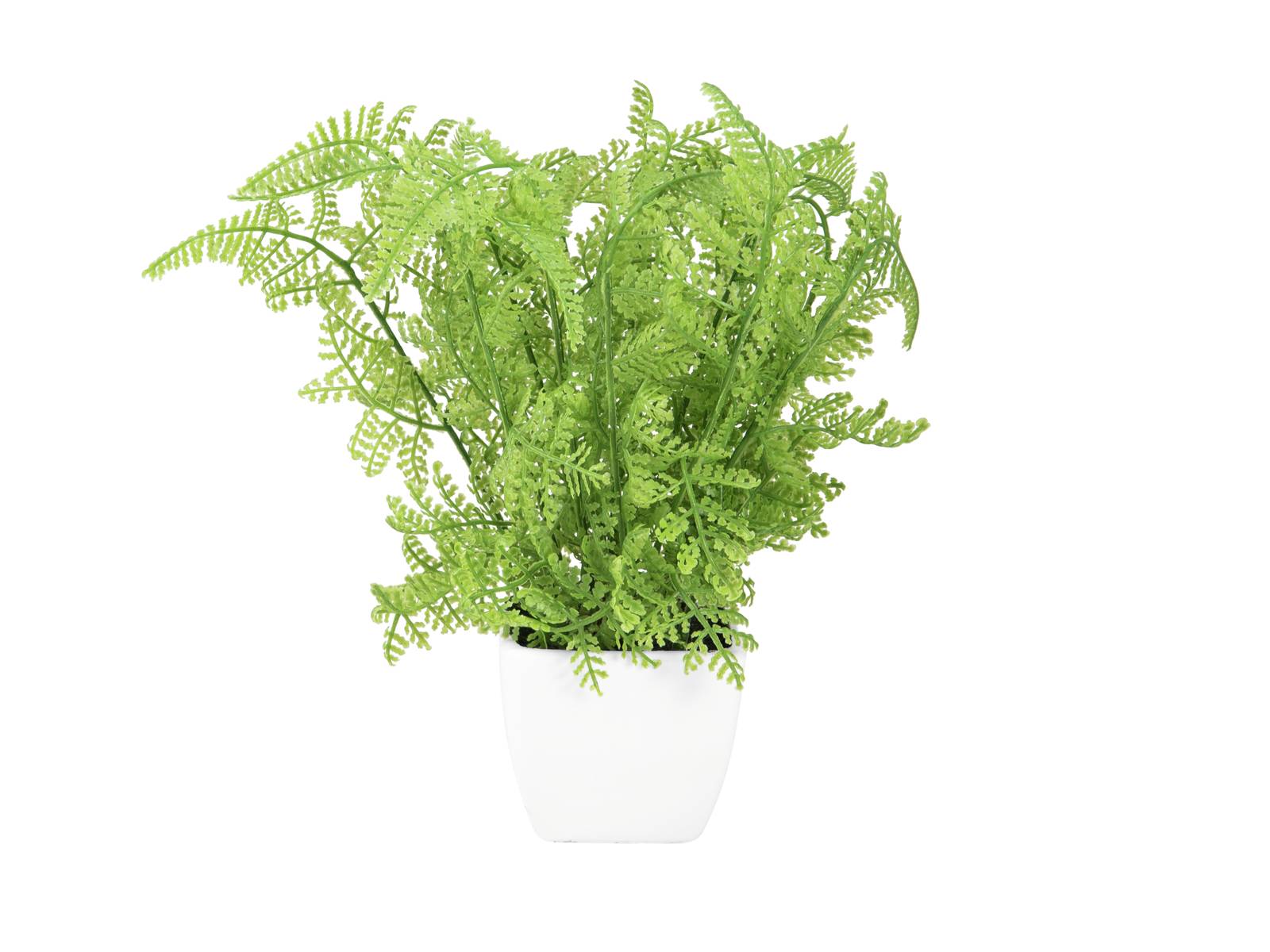 Plastic Lady fern ELIZABETTE, decorative pot, green, 10