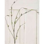 Artificial birch branch AZIR with flowers, brown-green, 4ft/125cm