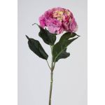 False hydrangea ANGELINA, pink-yellow, 28"/70cm, Ø9"/23cm