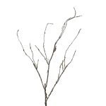 Artificial willow branch LIFEN, brown, 3ft/95cm