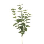 Artificial eucalyptus branch MINJIA, green-grey, 26"/65cm