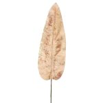 Velvet banana leaf AOXUE, pink, 28"/70cm