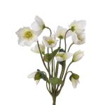 Artificial Christmas rose HALLA on spike, white, 12"/30cm, Ø2.8"/7cm