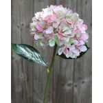 Fake hydrangea TAJANA, light pink-green, 24"/60cm