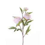 Artificial peony MANJA, white, 28"/70cm, Ø3.1"-4"/8-10cm