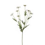 Artificial flower daisy LASAI, cream, 30"/75cm