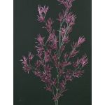 Artificial larch spray FLEKY, glitter, purple, 30"/75cm