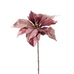 Velvet poinsettia SHEBA, dusky pink, 22"/55cm, Ø9.1"/23cm