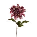 Velvet dahlia MINBU, dusky pink, 24"/60cm, Ø7"/18cm