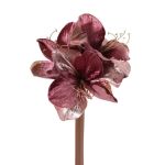 Velvet amaryllis KIRSTY, dusky pink, 28"/70cm, Ø3.5"/9cm