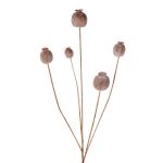 Artificial poppy capsule FILOMELA, light brown, 30"/75cm