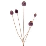 Artificial poppy capsule FILOMELA, dark brown, 30"/75cm