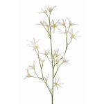 Artificial flower Tweedia solanoides PALLAS, white, 30"/75cm, Ø2"/5cm