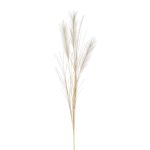 Artificial pampas grass branch BALARI, panicles, cream, 26"/65cm