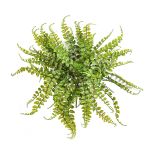 Fake button fern IMAI on spike, green, 16"/40cm, Ø20"/50cm