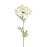 Artificial dill flower AMLA, cream-yellow, 28"/70 cm