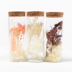 Dried flowers in glass pot FELICITY, 3 pieces, pink-purple-white, 12,5cm, Ø4,5cm