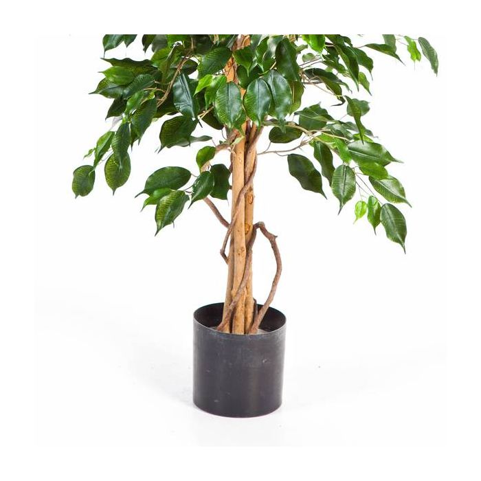 Ficus Artificial (180 cm)