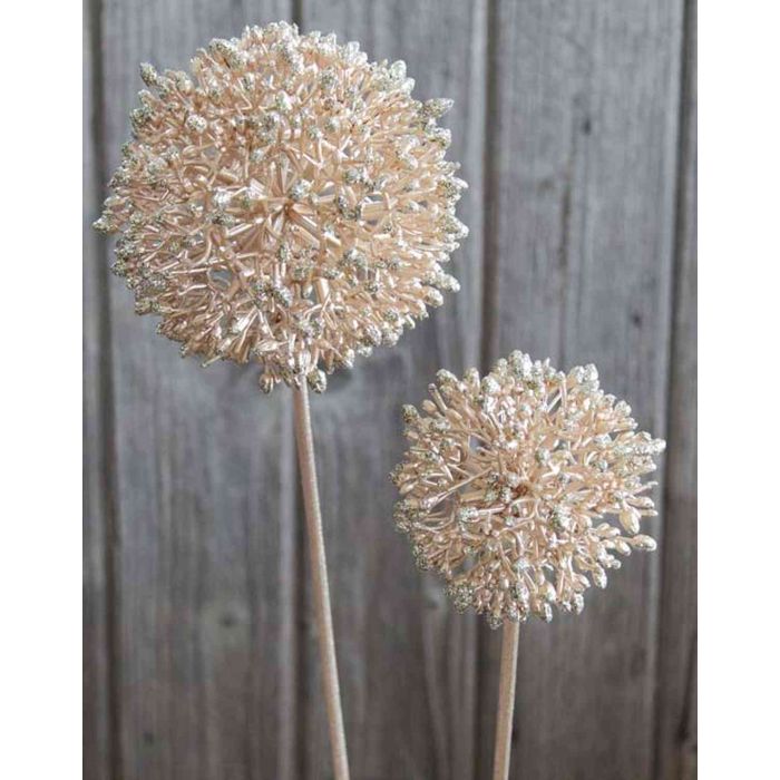 Glitter Allium 