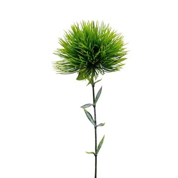 Decorative cotton grass panicle SNORRE, green, 28"/70cm