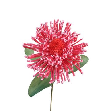 Plastic foam pincushion protea ISLARTINA, red-fuchsia, 30"/75cm