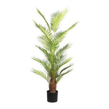 Artificial palm Areca PATRIC, 5ft/150cm