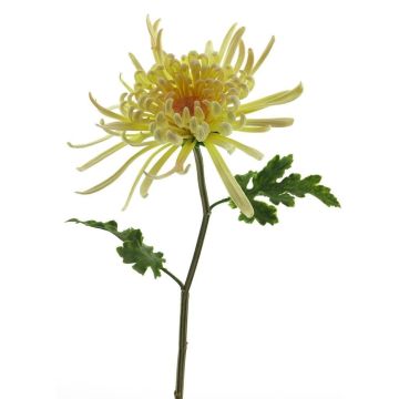 Decorative flower Chrysanthemum YASULI, cream-yellow, 28"/70cm