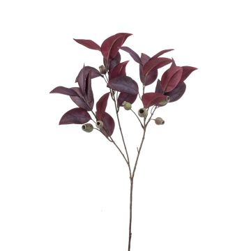 Decorative branch Eucalyptus VIZIMIR with fruits, burgundy red, 31"/80cm