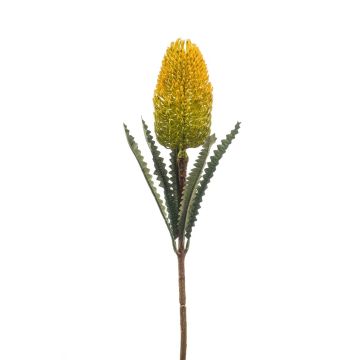 Artificial Banksia robur EREDIN, yellow, 28"/70cm