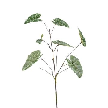 Decorative branch Anthurium GLANT, green-grey, 26"/65cm