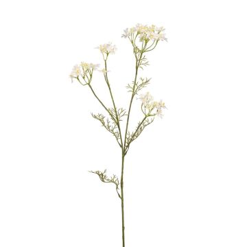Artificial dill branch NUTMEG with flowers, white, 33"/85cm