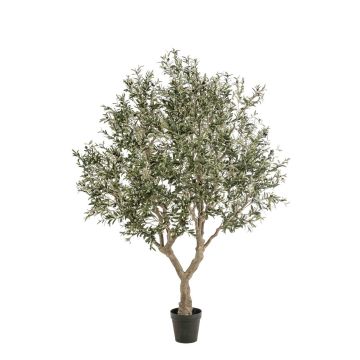 Artificial olive tree ZALIKI, artificial trunk, fruits, green, 8ft/250cm