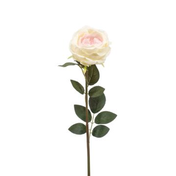 False rose THYRI, cream-pink, 26"/65cm