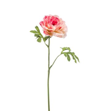 Artificial ranunculus KRISTY, pink-fuchsia, 24"/60cm