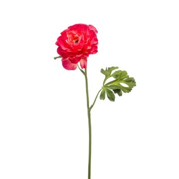 Artificial ranunculus KRISTY, fuchsia, 24"/60cm