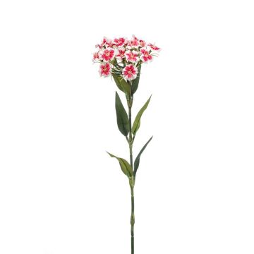 Artificial dianthus barbatus BEEKE, white-fuchsia, 20"/50cm