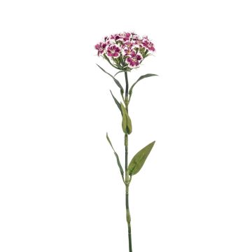 Artificial dianthus barbatus BEEKE, white-violet, 20"/50cm