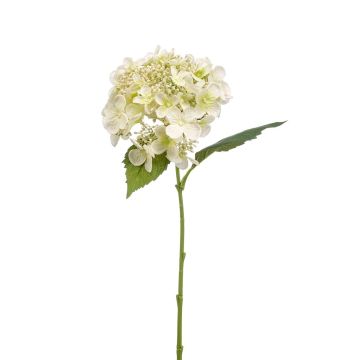 Artificial hydrangea CALESA, white, 20"/50cm