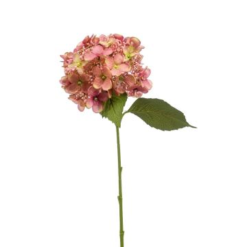 Artificial hydrangea CALESA, dusky pink, 20"/50cm