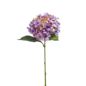 Artificial hydrangea CALESA, purple, 20"/50cm