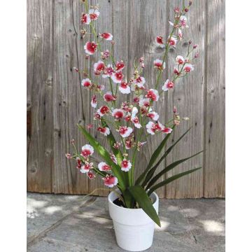 Artificial orchid Oncidium YOSEPHIN in clay pot, white-red, 28"/70cm