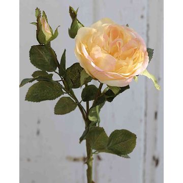Artificial Cabbage Rose OLIVERA, yellow-apricot, 12"/30cm, Ø3.5"/9cm