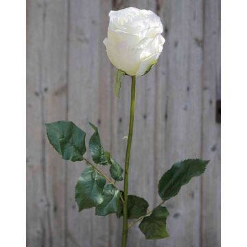 Artificial rose OPHELIE, cream-pink, 33"/85cm, Ø2.8"/7cm