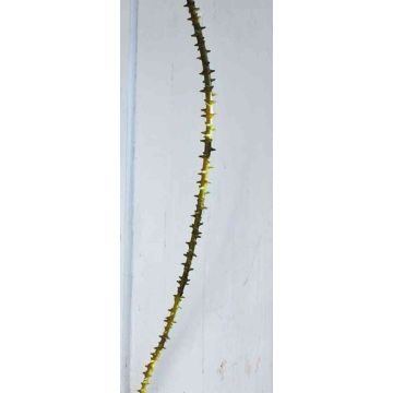 Decorative rose thorn branch ALOISA, green-brown, 6ft/170cm