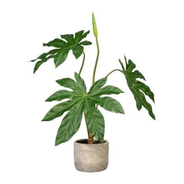 Artificial plant Japanese aralia GRINO in cement pot, green, 24"/60cm