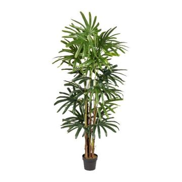 Artificial bamboo palm tree PARNI in decorative pot, 7ft/200cm