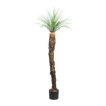 Plastic palm tree Yucca CLATA, grey-green, 5ft/150cm