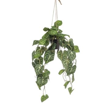 Artificial anthurium hanging basket MORGANE, decorative pot, green, 31"/80cm