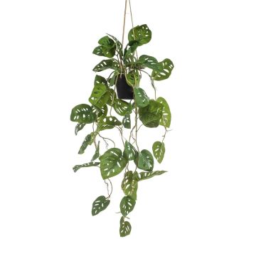 Decorative Philodendron Monstera Deliciosa hanging basket VANIELLE, decorative pot, 31"/80cm